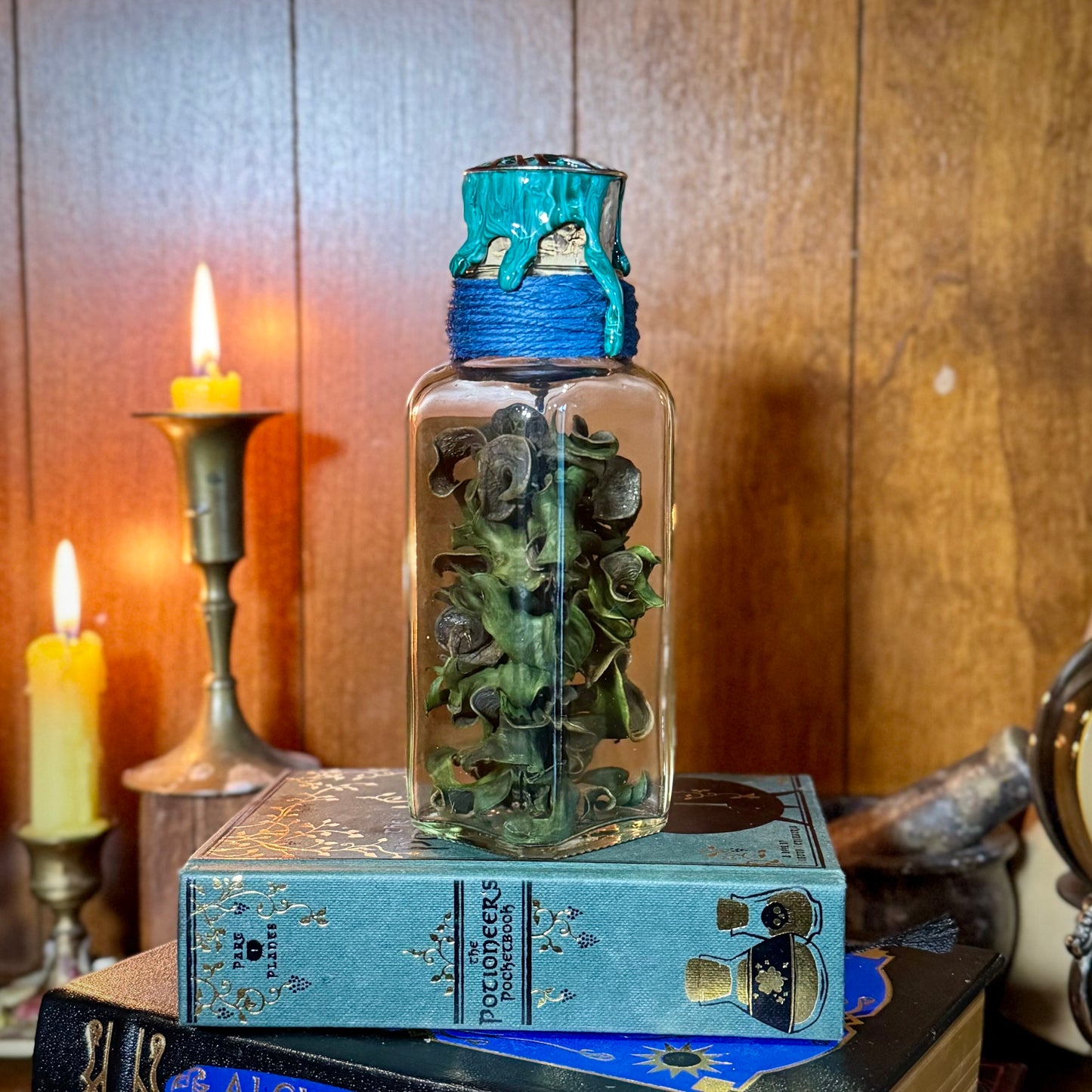 Knotgrass, A Decorative Fantasy Apothecary Jar