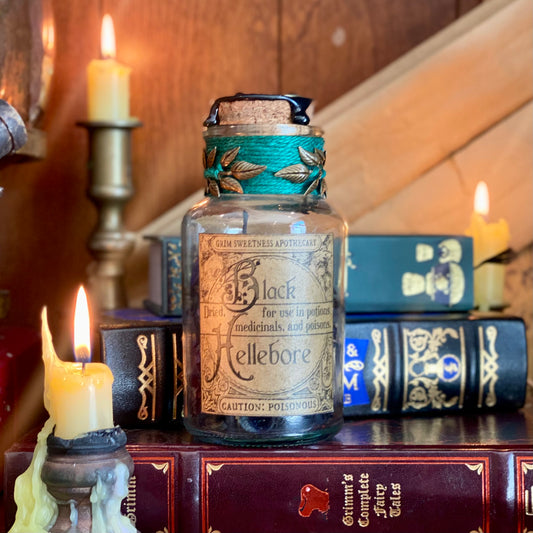 Dried Black Hellebore, A Decorative Apothecary Jar