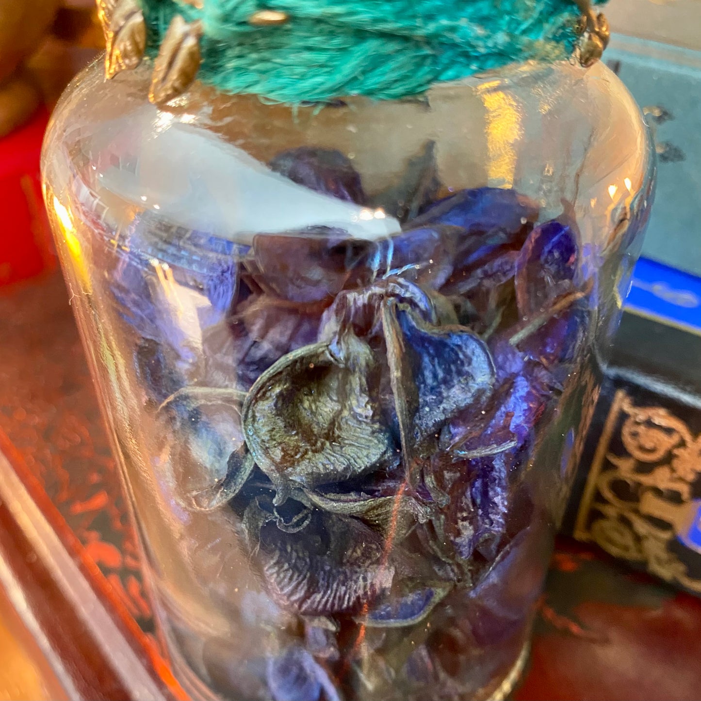 Dried Black Hellebore, A Decorative Apothecary Jar