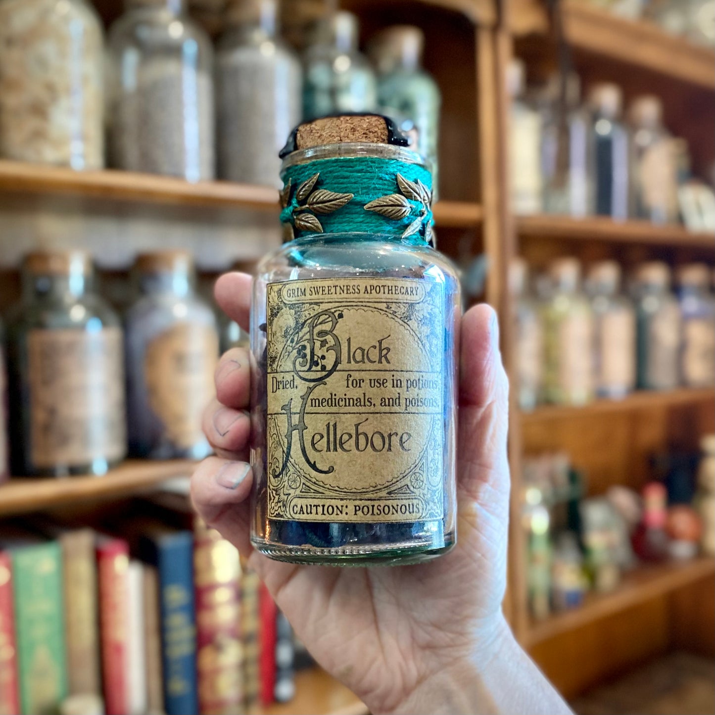 Dried Black Hellebore, A Decorative Apothecary Jar