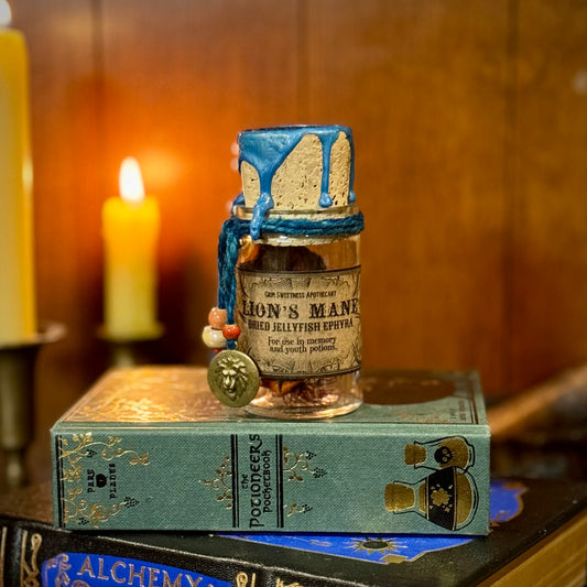 Lions Mane, Dried Jellyfish Ephyra, A Decorative Apothecary Jar