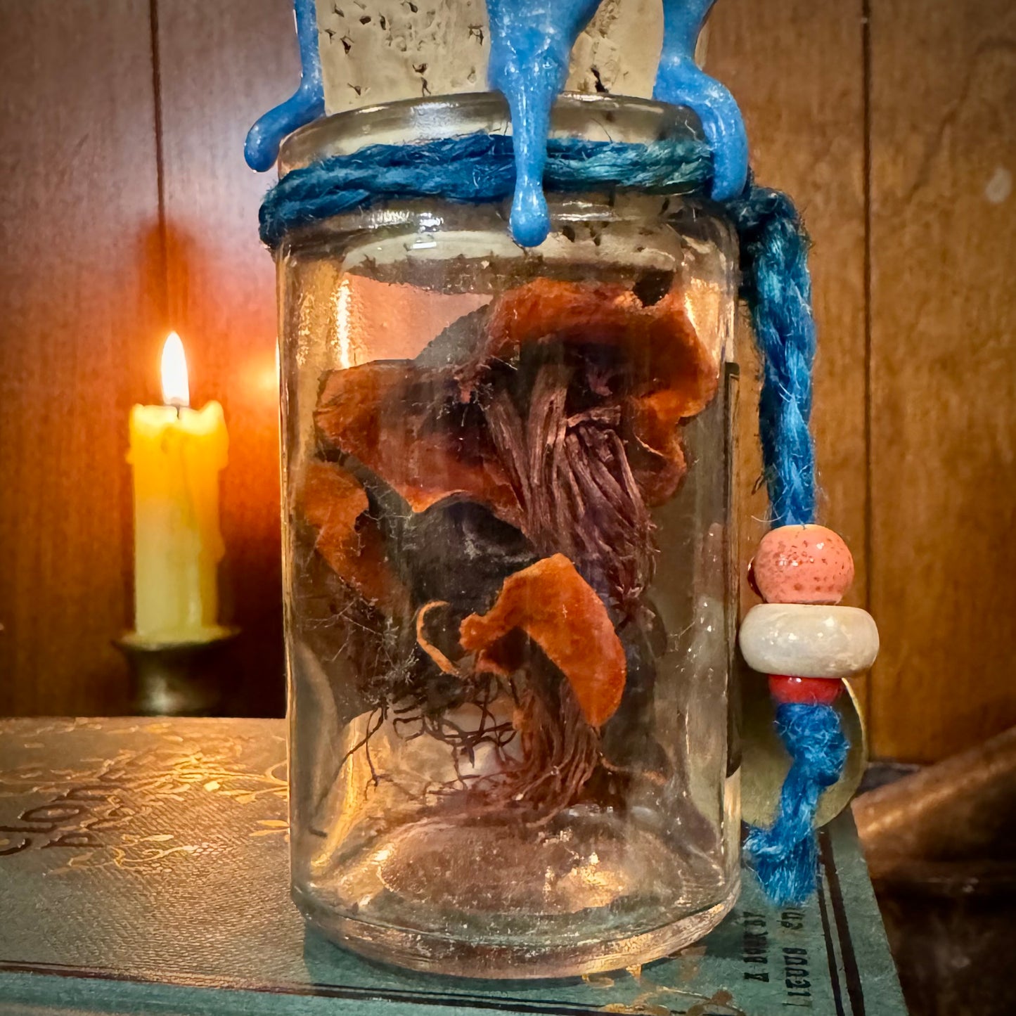 Lions Mane, Dried Jellyfish Ephyra, A Decorative Apothecary Jar