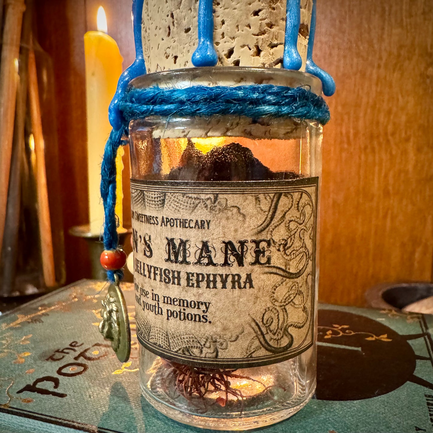 Lions Mane, Dried Jellyfish Ephyra, A Decorative Apothecary Jar