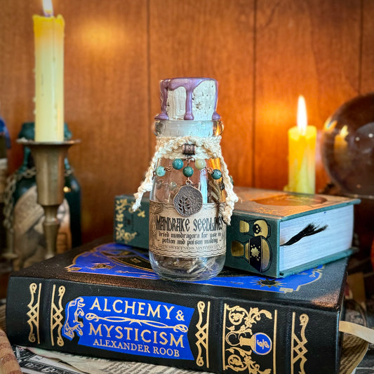 Dried Mandrake Seedlings, A Decorative Apothecary Jar